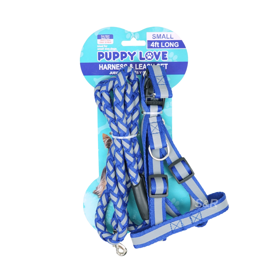 Puppy Love Small Harness & Leash Set